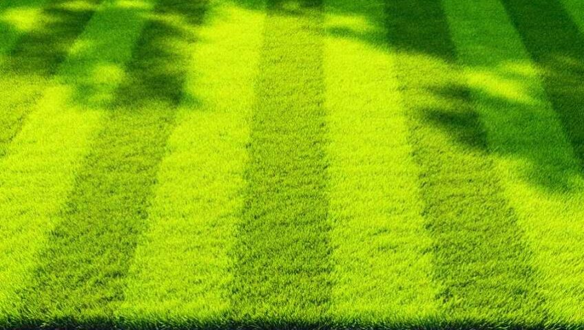 Weekly lawn service in Nazareth, PA with consistent mowing stripes, defined edging, and a clean, reliable finish.