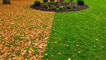 Seasonal yard clean-up in the Lehigh Valley — leaves removed, lawn cleared, and beds prepared by 2Knights Landscaping.