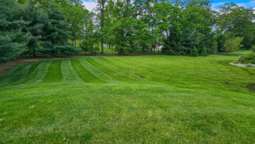 Why Weekly Lawn Service Saves You Time & Money in Nazareth, PA